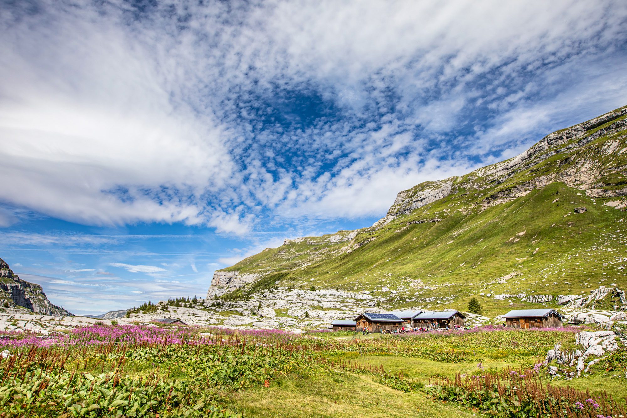 Combe à l'Ours, Sales, août 2019, Olivier Octobre, basse resolution-18 copie